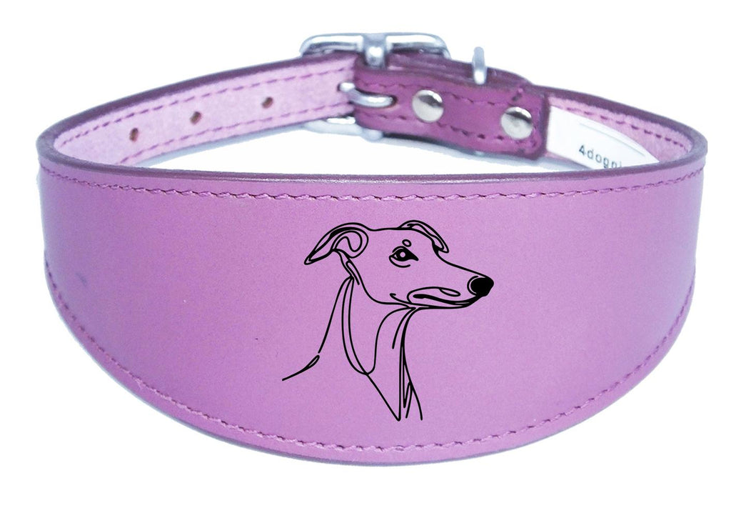 Padded Leather Collar Iggy Greyhound Whippet Sighthound NL 29