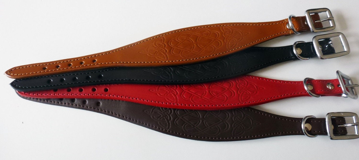 Brown Celtic Design Leather Dog Collars Whippet Collar Greyhound Collar Galgo
