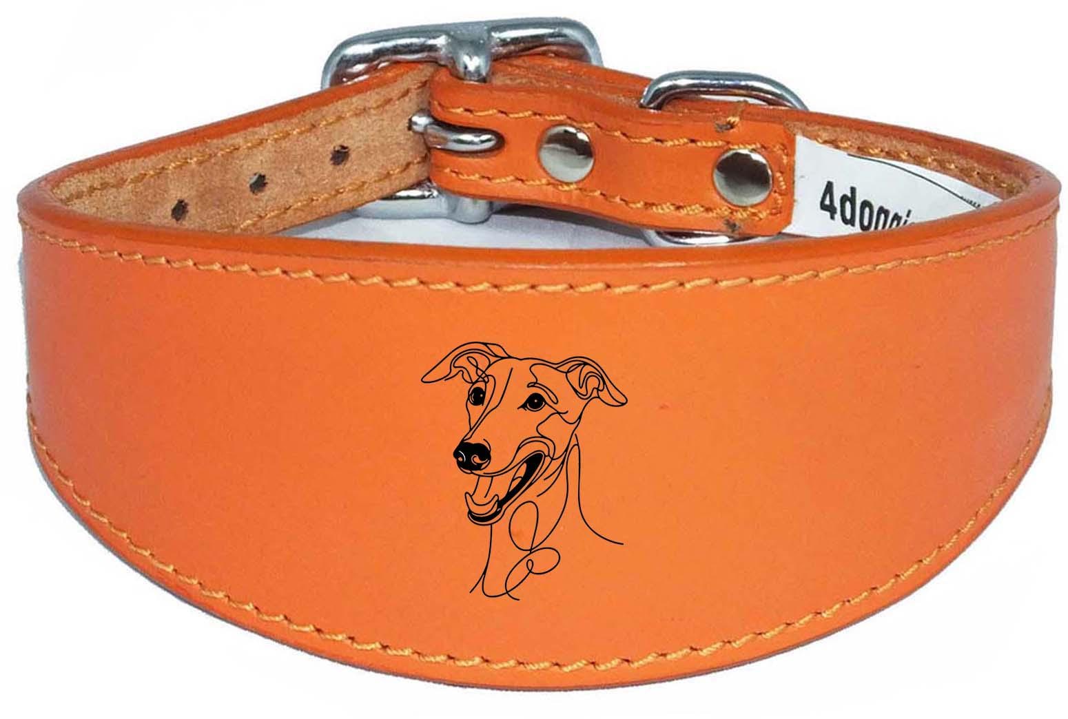 Engraved Leather Greyhound Whippet Dog Collar with Padded Backing NL 1