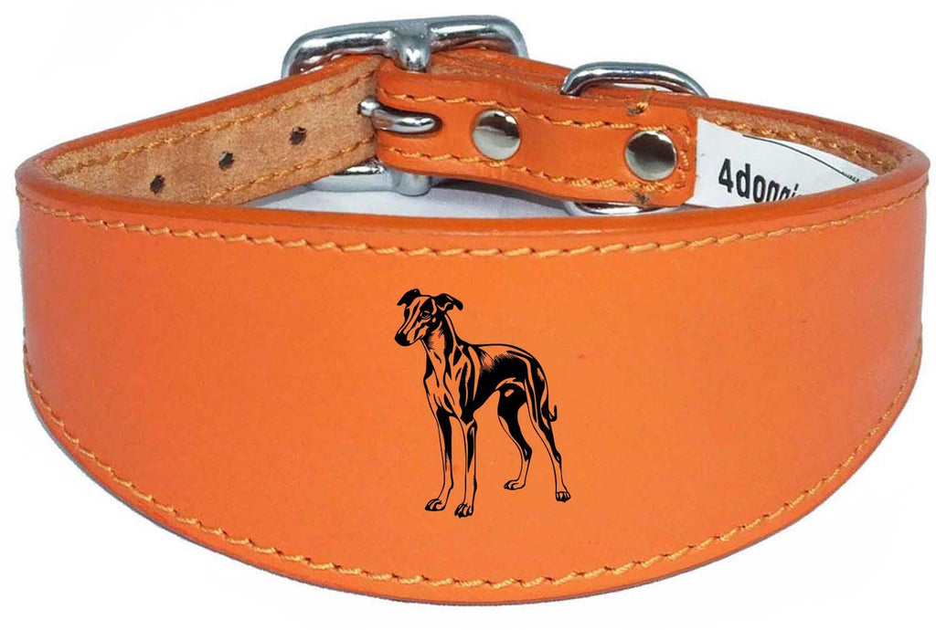 Luxury Greyhound Whippet Sighthound Padded Leather Collar NL 27