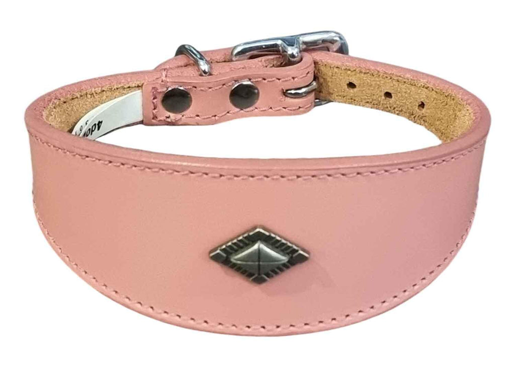 Leather Collar For Whippet Greyhound Lurcher Decorative Stud Design DS 1