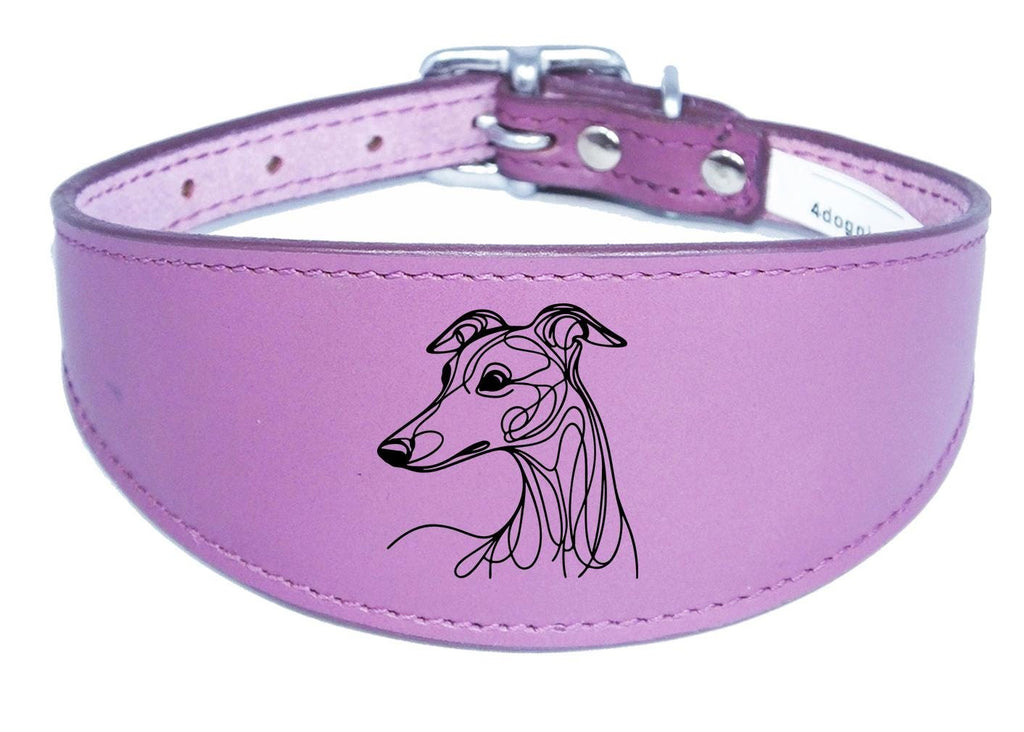 Padded Leather Collar Iggy Greyhound Whippet Sighthound NL 30