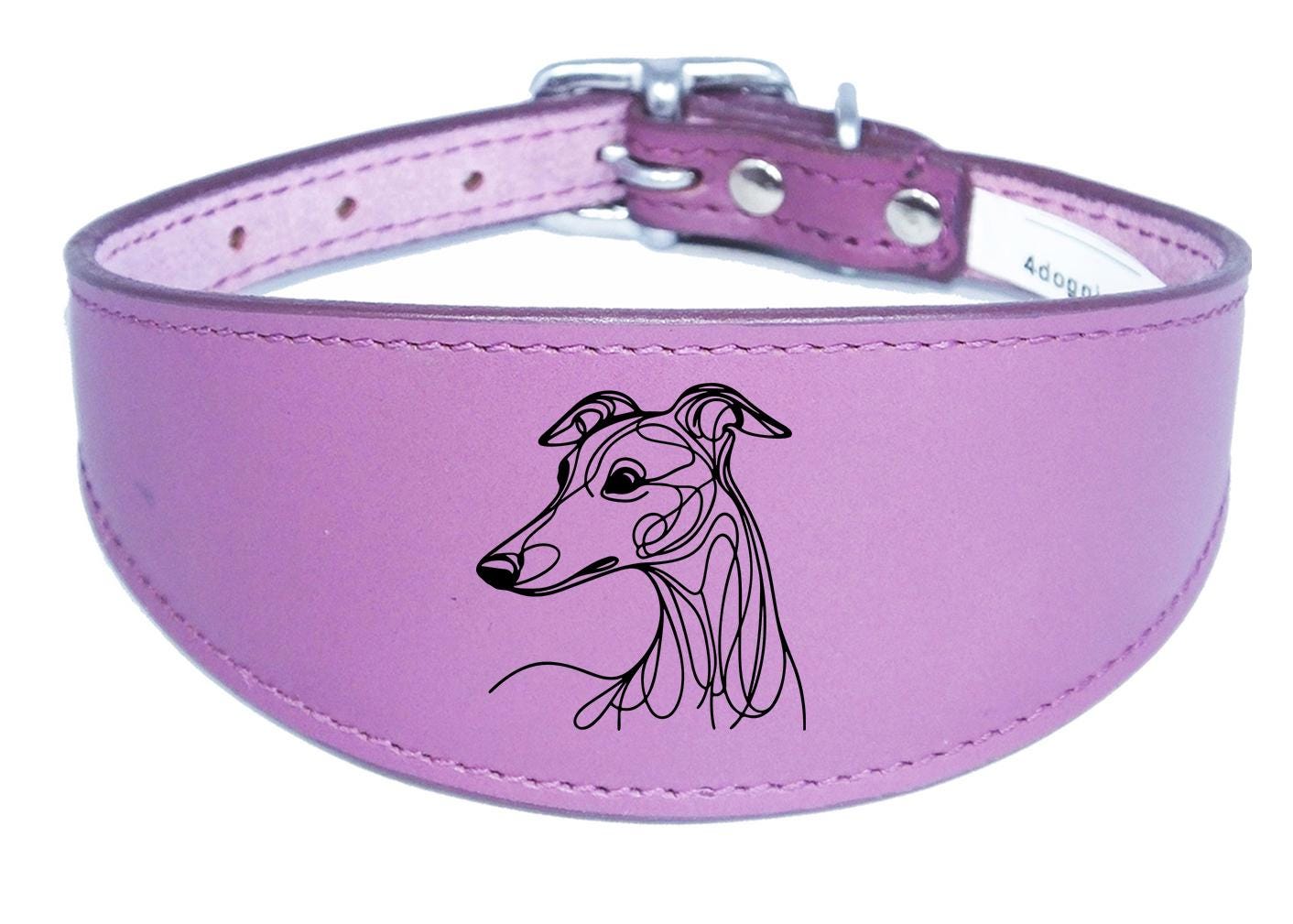 Padded Leather Collar Iggy Greyhound Whippet Sighthound NL 30