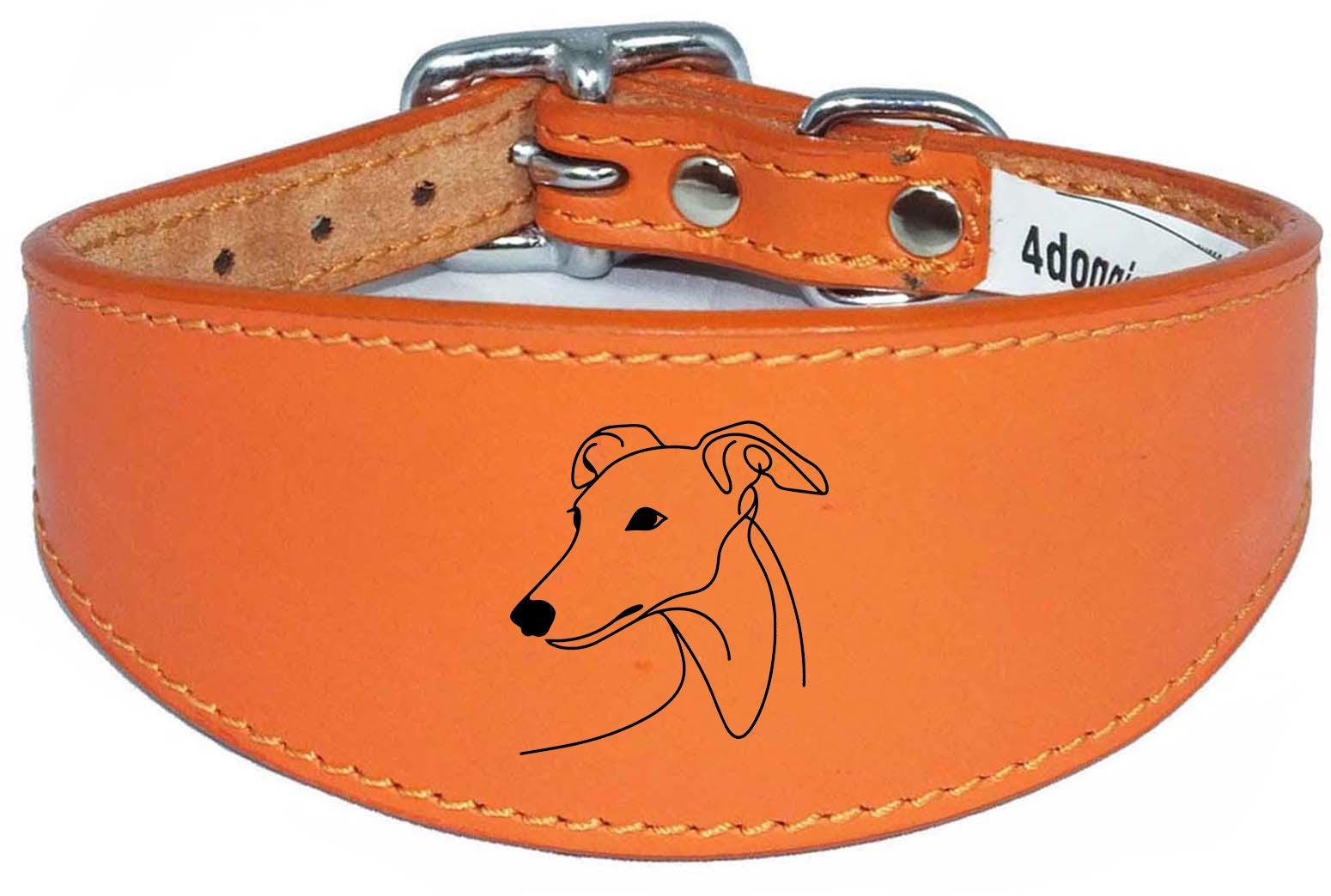 Sighthound Whippet Dog Collar Leather Greyhound with Padded Backing NL 7