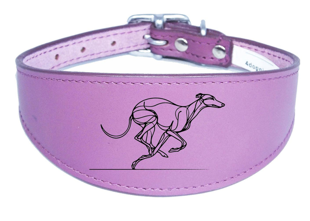 Greyhound Sighthound Whippet Wide Dog Collar with Padded Backing NL 15