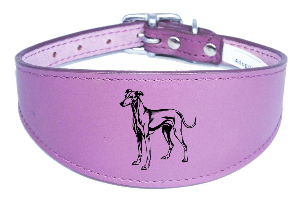 Whippet Greyhound Sighthound Padded Leather Luxury Collar NL 25