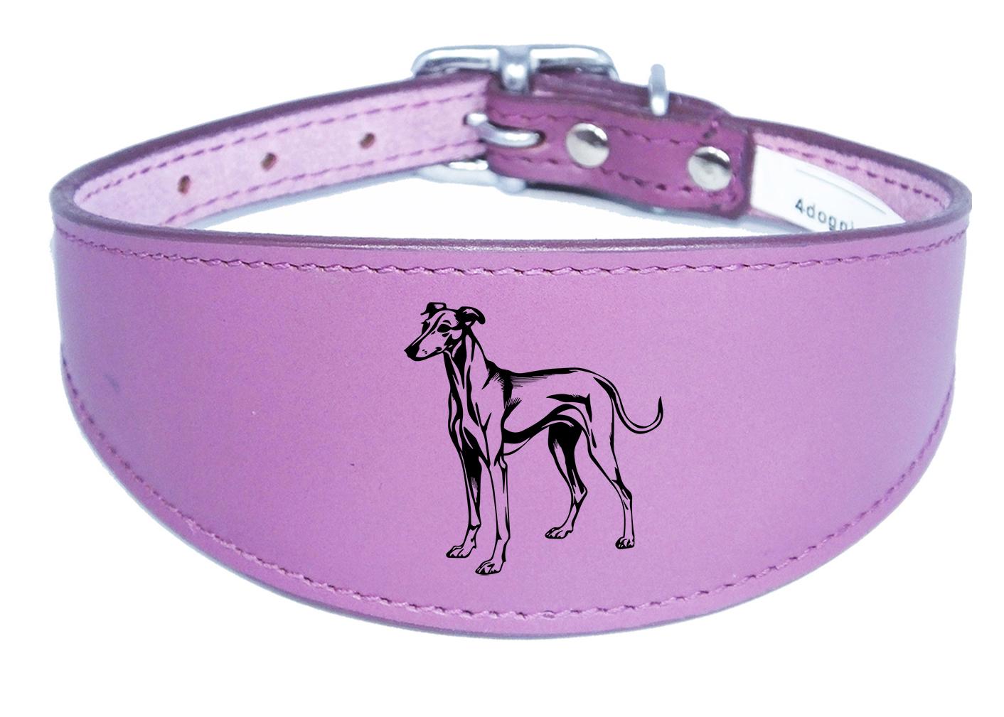 Whippet Greyhound Sighthound Padded Leather Luxury Collar NL 25