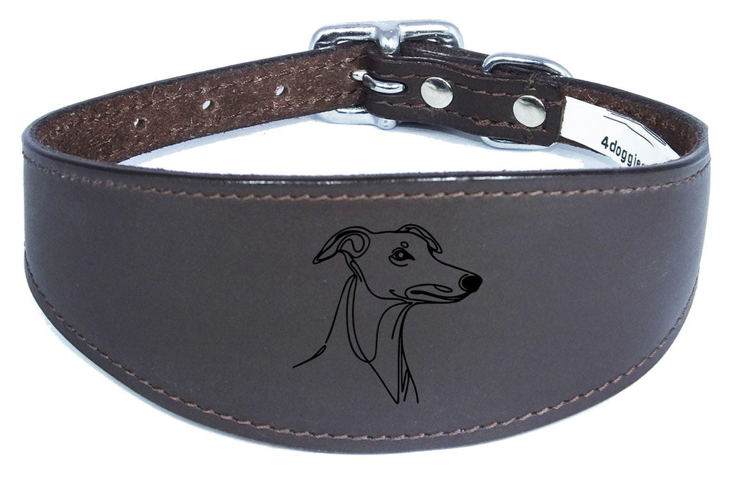 Padded Leather Collar Iggy Greyhound Whippet Sighthound NL 29