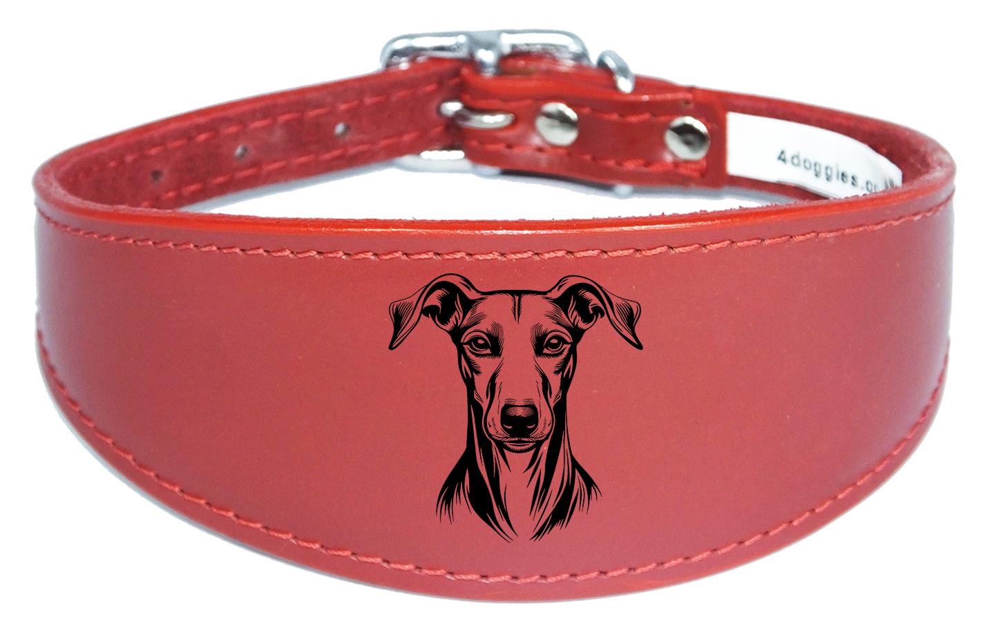 Handmade Wide Leather Sighthound Whippet Greyhound Collar NL 45