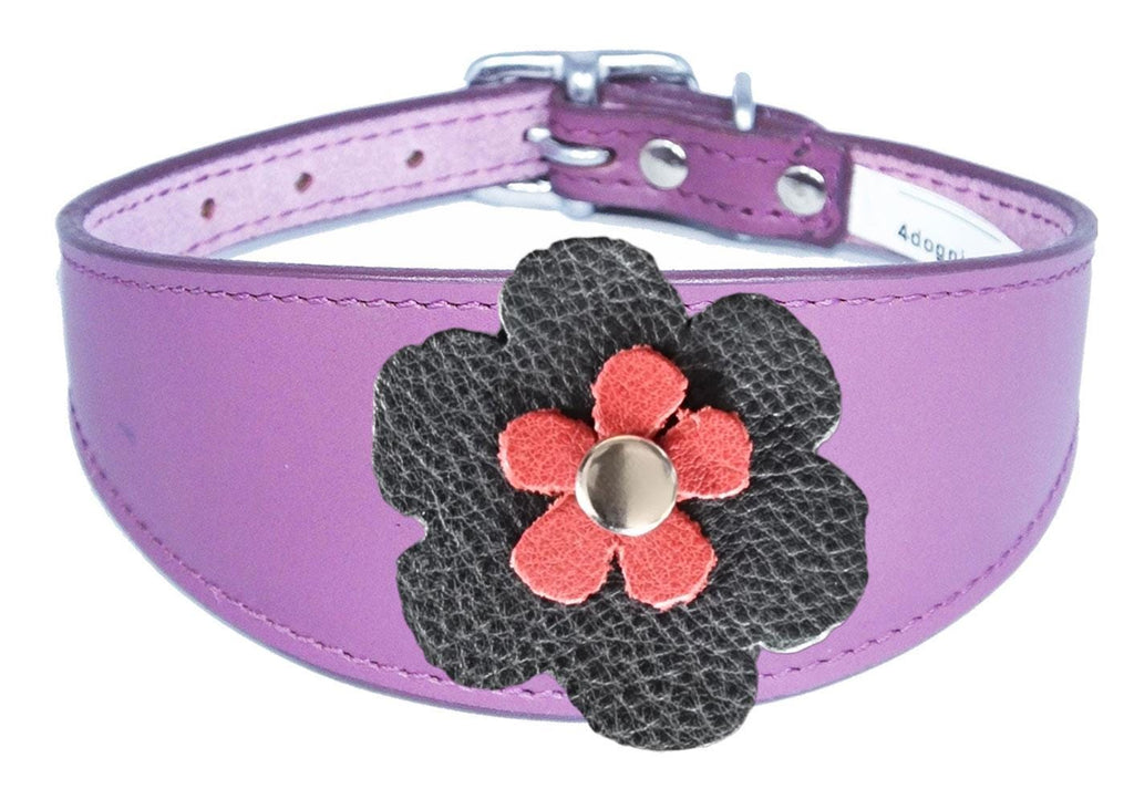 Whippet Greyhound Sighthound Lurcher Decorative Flower Design Leather Collar FD5-4