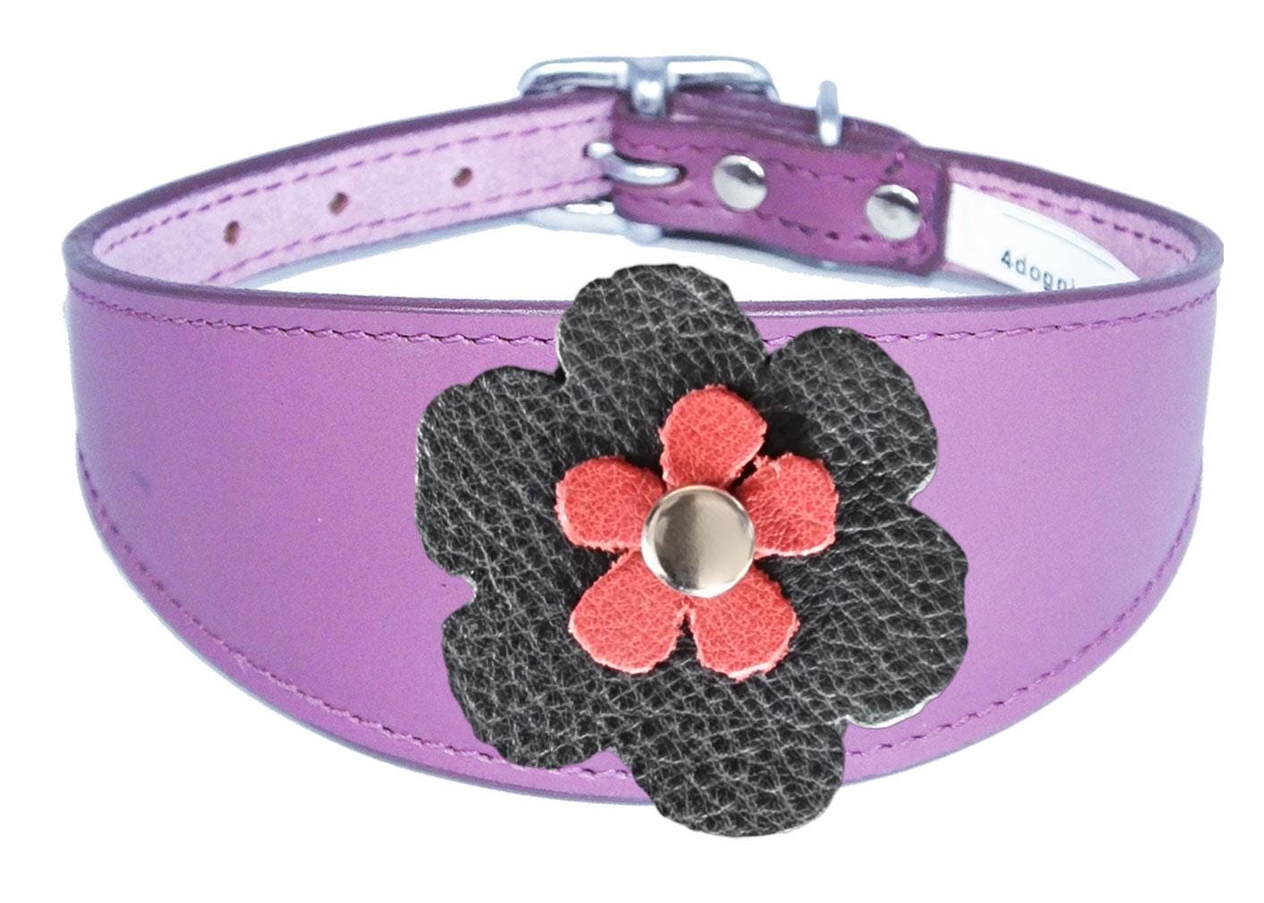 Whippet Greyhound Sighthound Lurcher Decorative Flower Design Leather Collar FD5-4