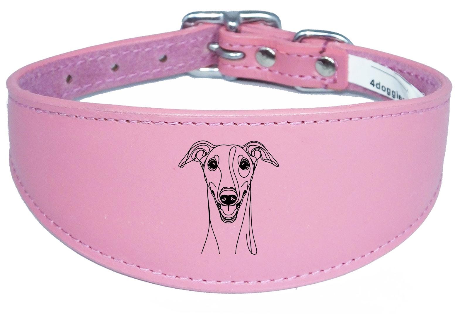 Leather Greyhound Sighthound Whippet Dog Collar with Padded Backing NL 9