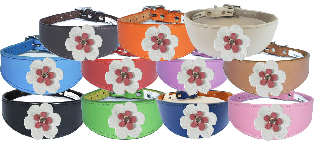 Whippet Greyhound Sighthound Lurcher Decorative Flower Design Leather Collar FD7-6
