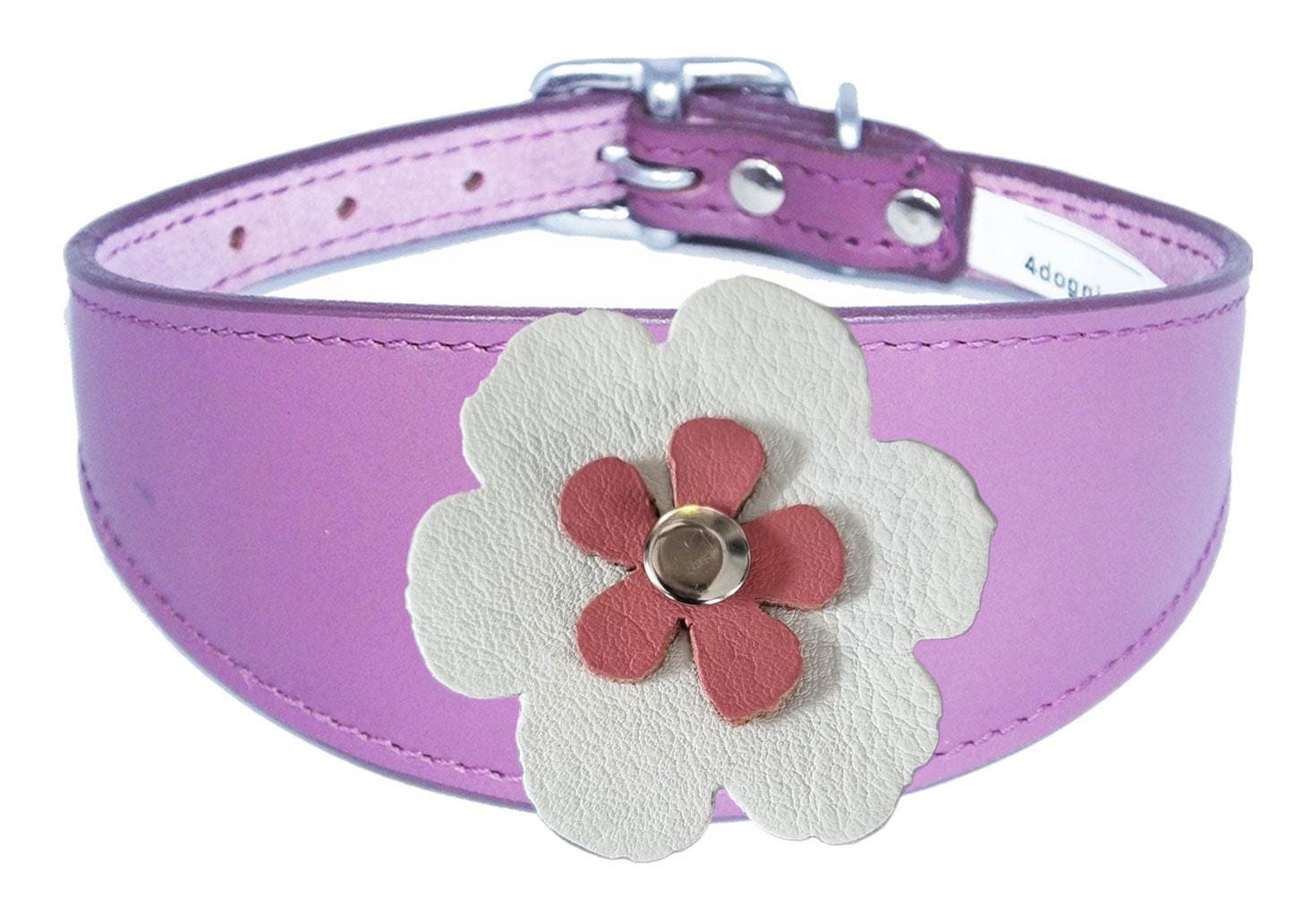 Whippet Greyhound Sighthound Lurcher Decorative Flower Design Leather Collar FD7-6