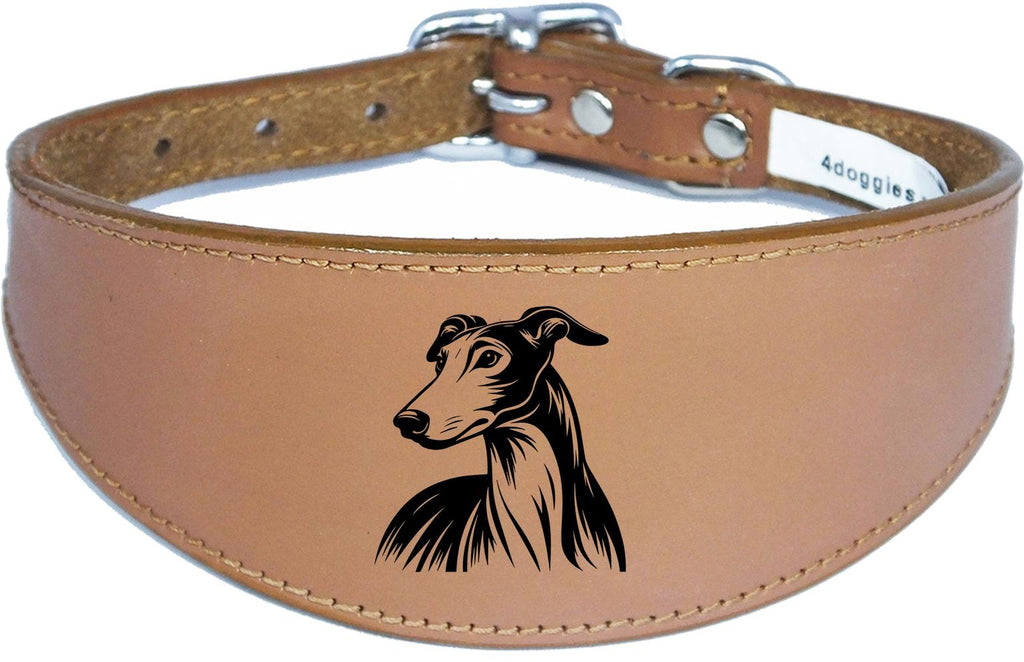 Whippet Greyhound Sighthound Padded Leather Luxury Collar NL 24