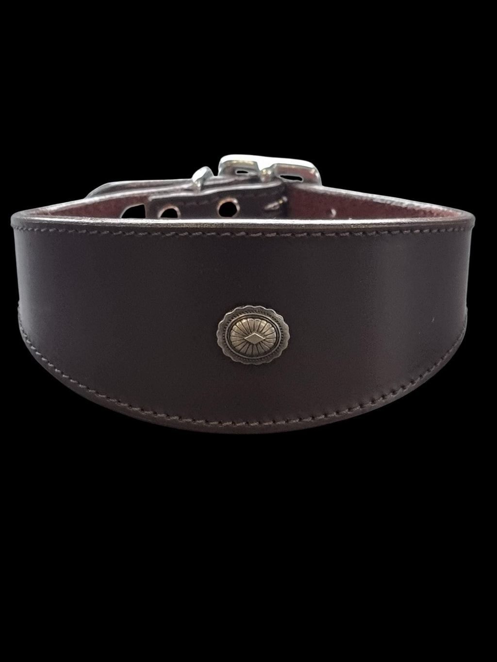 Leather Collar For Iggy, Whippet Greyhound Lurcher Decorative Stud Design DS2