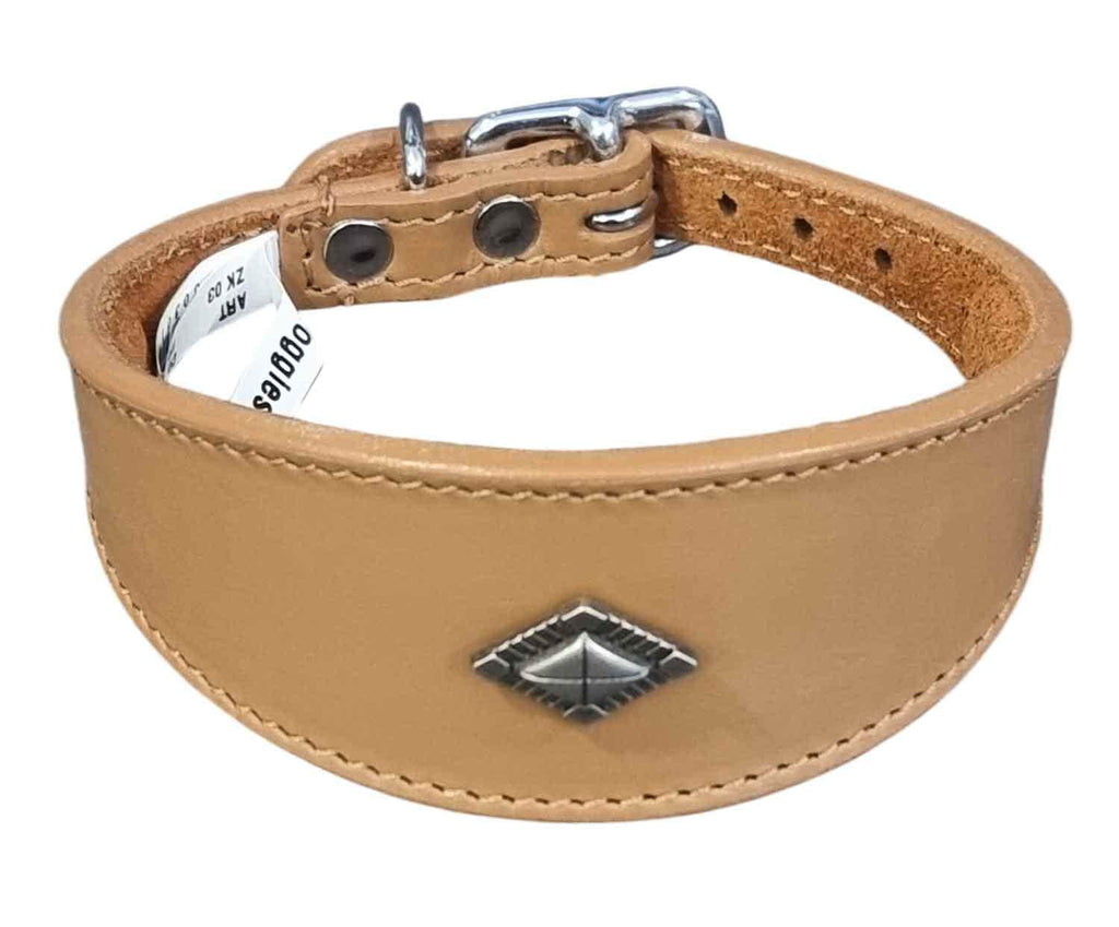 Leather Collar For Whippet Greyhound Lurcher Decorative Stud Design DS 1