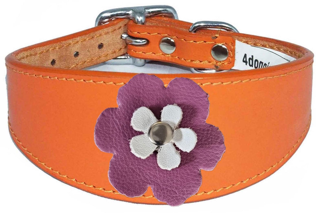 Decorative Flower Design Leather Collar For Sighthound Whippet Greyhound Lurcher FD2-7