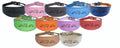 Dog Collar Leather Greyhound Collar Whippet Collar Padded Backing Engraved Running Hound