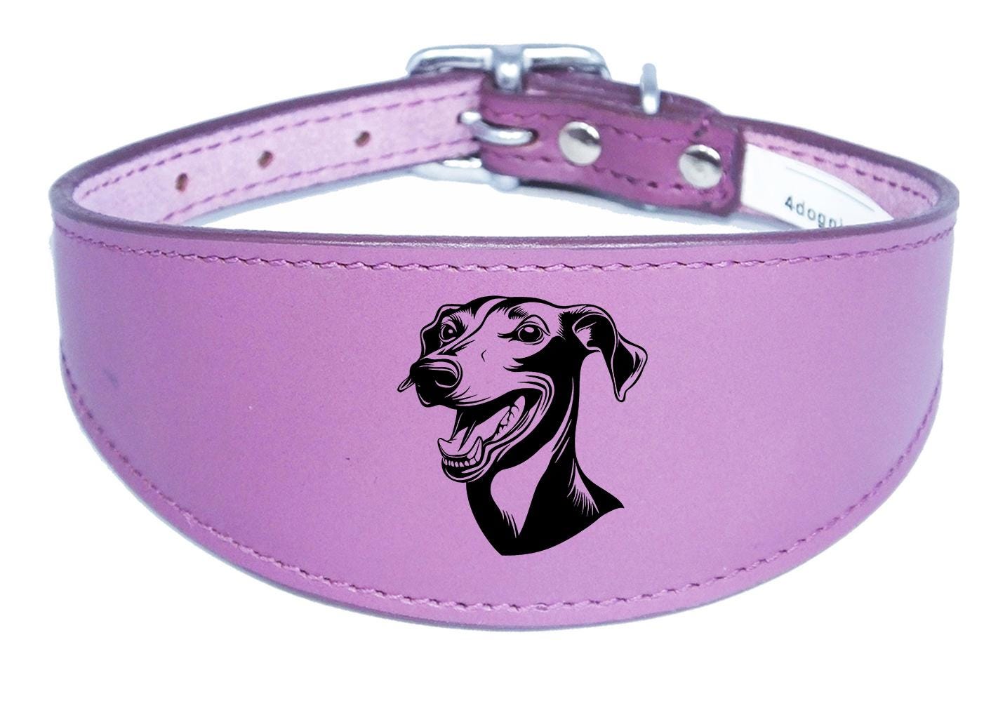 Handmade Wide Leather Sighthound Whippet Greyhound Collar NL 44